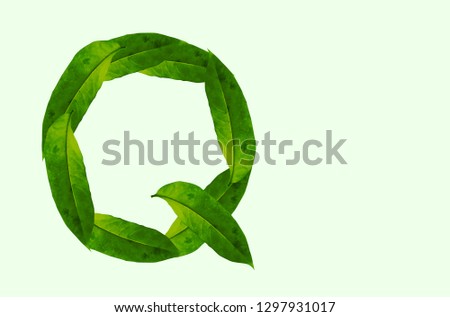Green leaf letter Q Background image, forest leaf letters/alphabet/characters constructed from green leaf white background and light green background