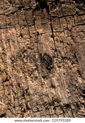 Natural textured old wooden grunge wooden background