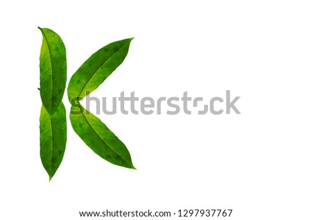 Green leaf letter K Background image, forest leaf letters/alphabet/characters constructed from green leaf white background and light green background