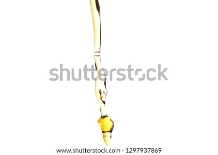 Golden or yellow liquid flow on white background