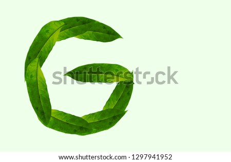 Green leaf letter G Background image, forest leaf letters/alphabet/characters constructed from green leaf white background and light green background