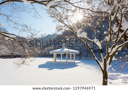 Winter landscape in Naejangsan national park, South Korea.
