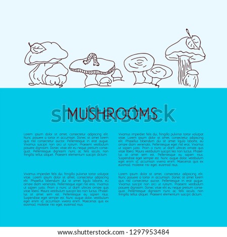 Mushrooms set hand drawn vector illustration. Sketch mushroom drawing. Organic vegetarian product. Great for menu, label, product packaging, recipe, icon. Eps 10