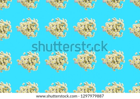 Floral pattern of a series of chrysanthemums on a blue background. Top view flat lay