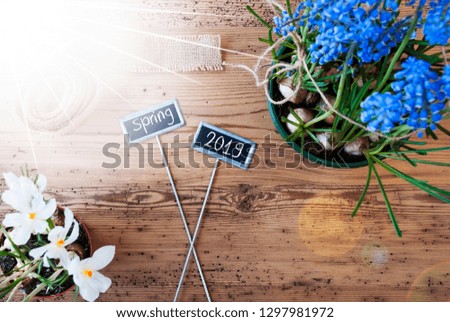 Sunny Flowers, Signs, Text Spring 2019, Rustic Wooden Background