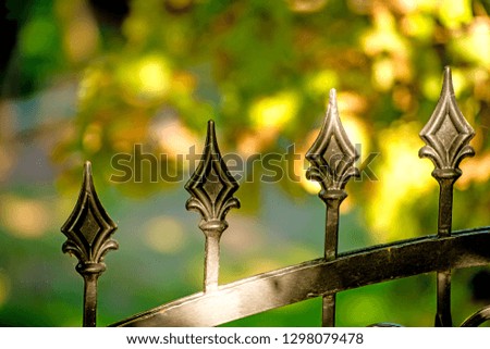fence with cast iron ornament