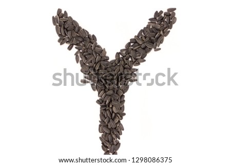 Alphabet from black sunflower seeds isolated on white background