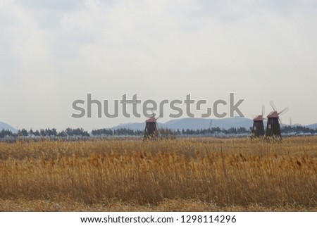 windmill in reed field