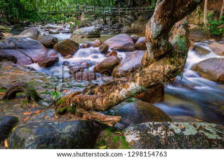 Tree by flowing river in long exposure 1