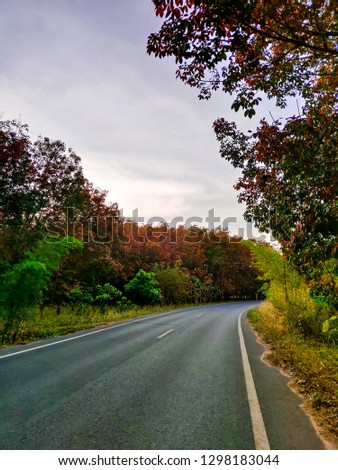 Evening atmosphere on the route
full of Trees and red and green leaves
And the beautiful blue sky background
Space