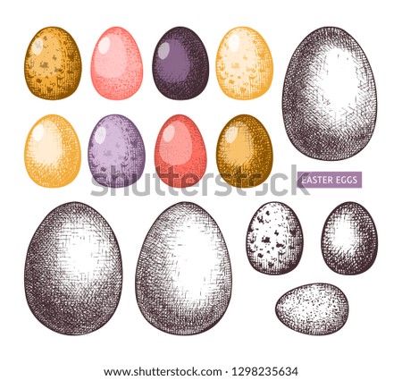 Easter decor collection. Hand drawn quail and chicken eggs illustrations. Vector holiday drawings. Traditional vintage elements set. 