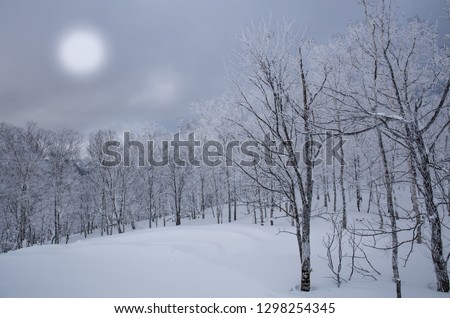 The hazy white glow of an early morning winter sun appears through dark snow clouds above a frozen winter forest.