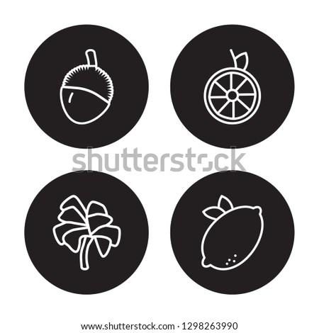 4 linear vector icon set : Lychee, Lettuce, Lime, Lemon isolated on black background, Lychee, Lettuce, Lime, Lemon outline icons