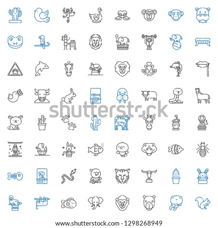 wild icons set. Collection of wild with squirrel, frog, camel, gorilla, elephant, fish, sloth, walrus, bunny, cactus, buffalo, tiger, parrot. Editable and scalable wild icons.