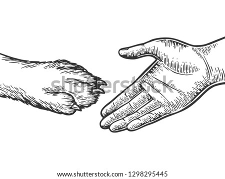 Human hand and dog paw handshake engraving vector illustration. Scratch board style imitation. Black and white hand drawn image.