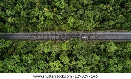 Road through the green forest, Aerial view car truck drive going through forest, Aerial top view forest, Texture of forest view from above, Ecosystem and healthy environment concept and background. Royalty-Free Stock Photo #1298297146