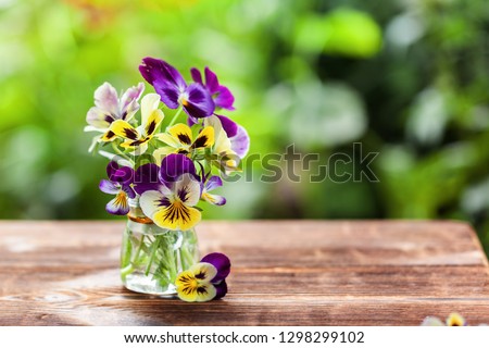 Bouquet of colorful pansies on green nature background. Beautiful and delicate flowers