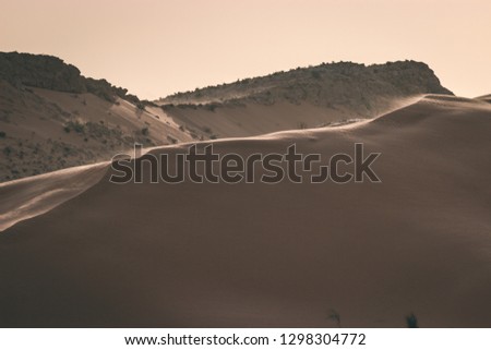 Sandy dunes at sunrise in the Sahara Desert