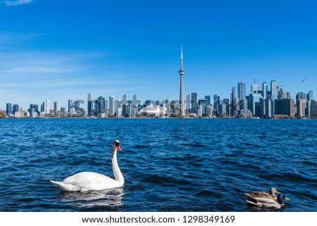 Toronto Skyline - Toronto Island