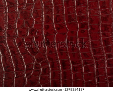 colorful leather texture