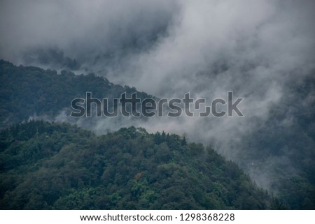 The foggy landscape of EmeiShan National Park. The rainy day in the green autumn mountain forest.  Sichuan province, China.