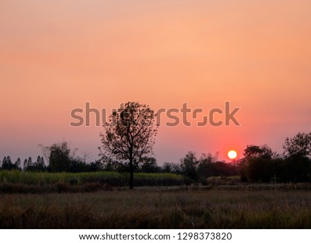 
Bright sky, orange at sunset, beautiful with clouds