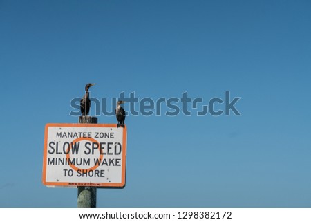 Manatee Zone - slow speed sign with tow cormorants sitting on top 