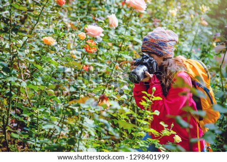 woman travel nature taking photographs in the rose garden at doi Inthanon Chiangmai in Thailand.