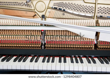 Tuning Your Piano