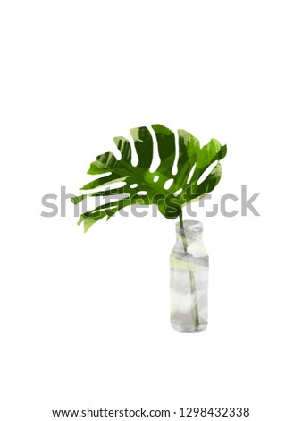 Tropical jungle Monstera leaves in the bottle or vase isolated on white background. Floral botanical clip art for design or print - Illustration watercolor