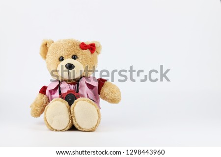 female teddy bear with camera isolated and white background
