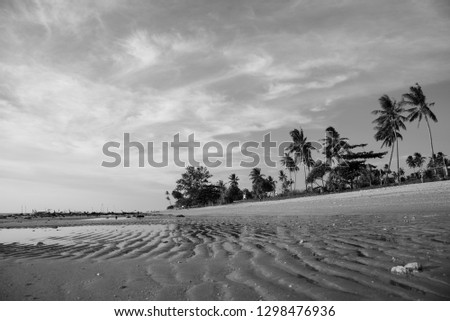 Palms on the beach in front of sea, ocean, sunset, sand, blu sky, clouds stones, real, bungalows in Ko Lanta, Thailand, Krabi province (black and white bw)