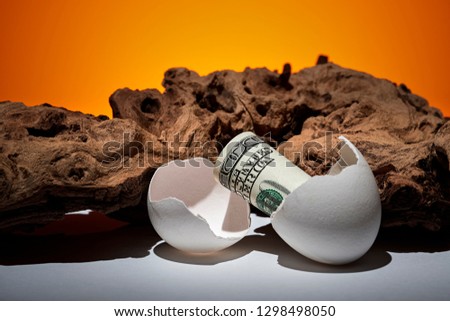 Conceptual photo. A hundred dollar bill rolled out of an egg. Near a piece of wood and a bird feather. Orange background.