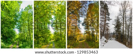 trees in seasons Royalty-Free Stock Photo #129853463