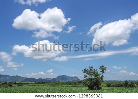Beautiful blue sky with cloud formation background Fantastic soft white clouds against blue sky in thailand