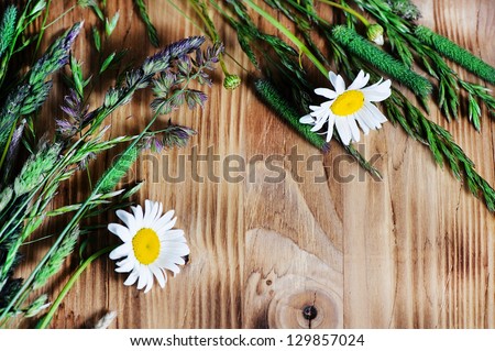 Herbs and chamomile on the wood background