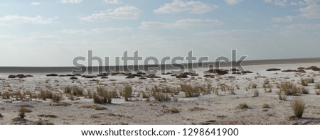 Etosha dry salt pan, Namibia