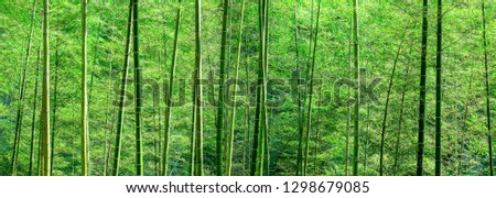 Bamboo Forest Decoration Background with Super-long Pictures.