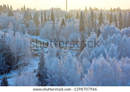 
Forest covered with snow power line and car road at sunset