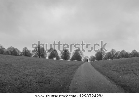 A black and white winter image of a line of leafless trees silhouette on top of a hill brow with path leading into picture with two 2 men walking towards camera
