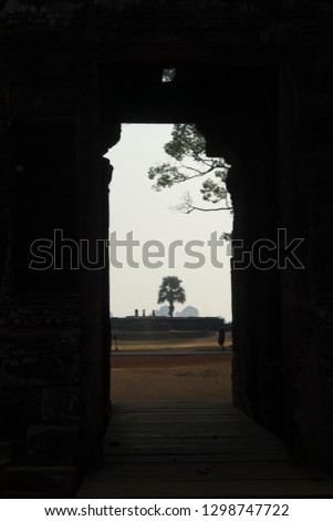 Picture taken in Angkor, Cambodia