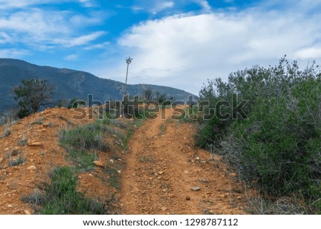 Dirt road into forest on cool winter morning in mountains with room for text in sky