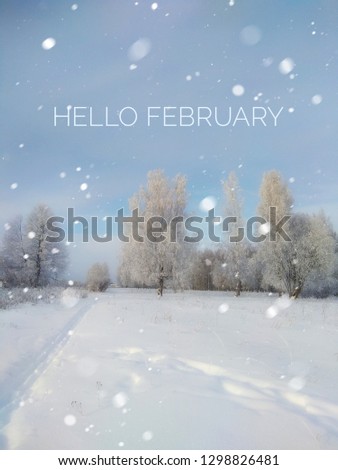 Hello February photo. The beginning of the New Year.