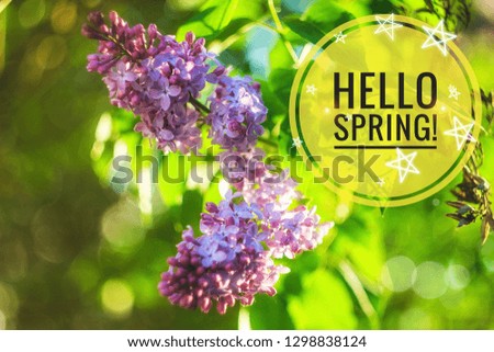 Hello spring banner . Greetings of spring. We are waiting for spring. Hi spring