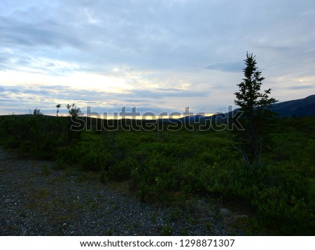 inside Denali National park, Alaska