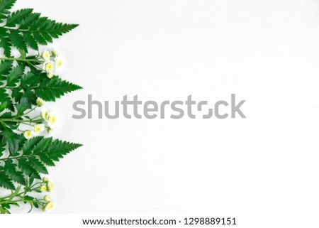 Frame for a banner with natural leaves. Background with leaves for design. Photo of natural leaves with space for copispeys.