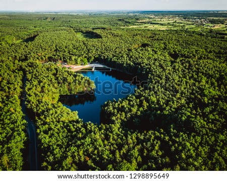 Blue Lake Forest Sun aerial