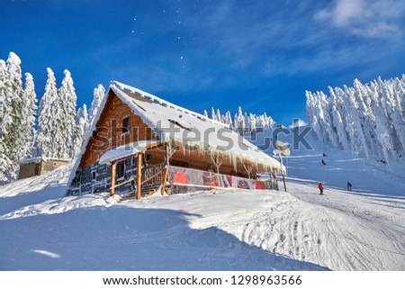 Wooden chalets and spectacular ski slopes in the Carpathians,Poiana Brasov ski resort,Transylvania,Romania,Europe,Pine forest covered in snow on winter season