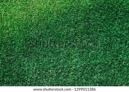 Green grass texture background,football field,soccer field