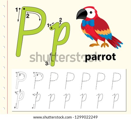 Letter P tracing alphabet worksheets illustration